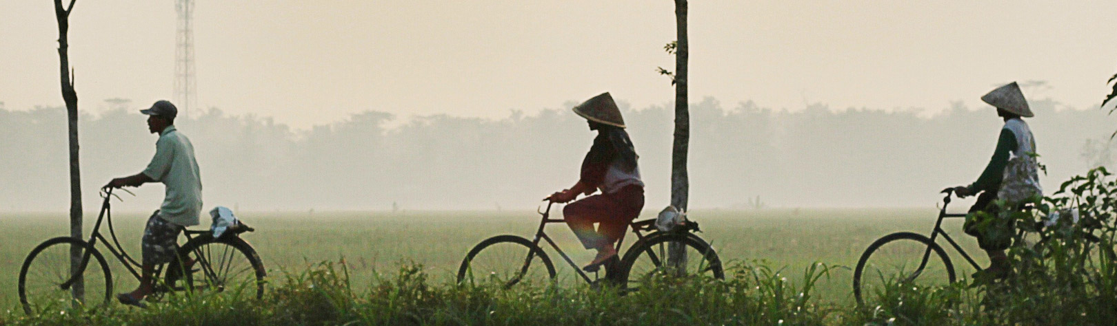 Ecotour au Vietnam : immersion à la campagne