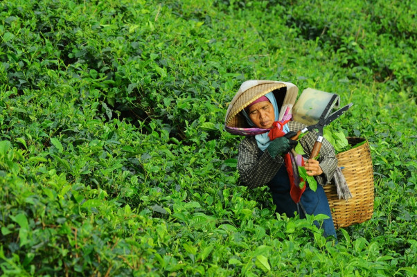 Ba Vi et la découverte du Vietnam profond
