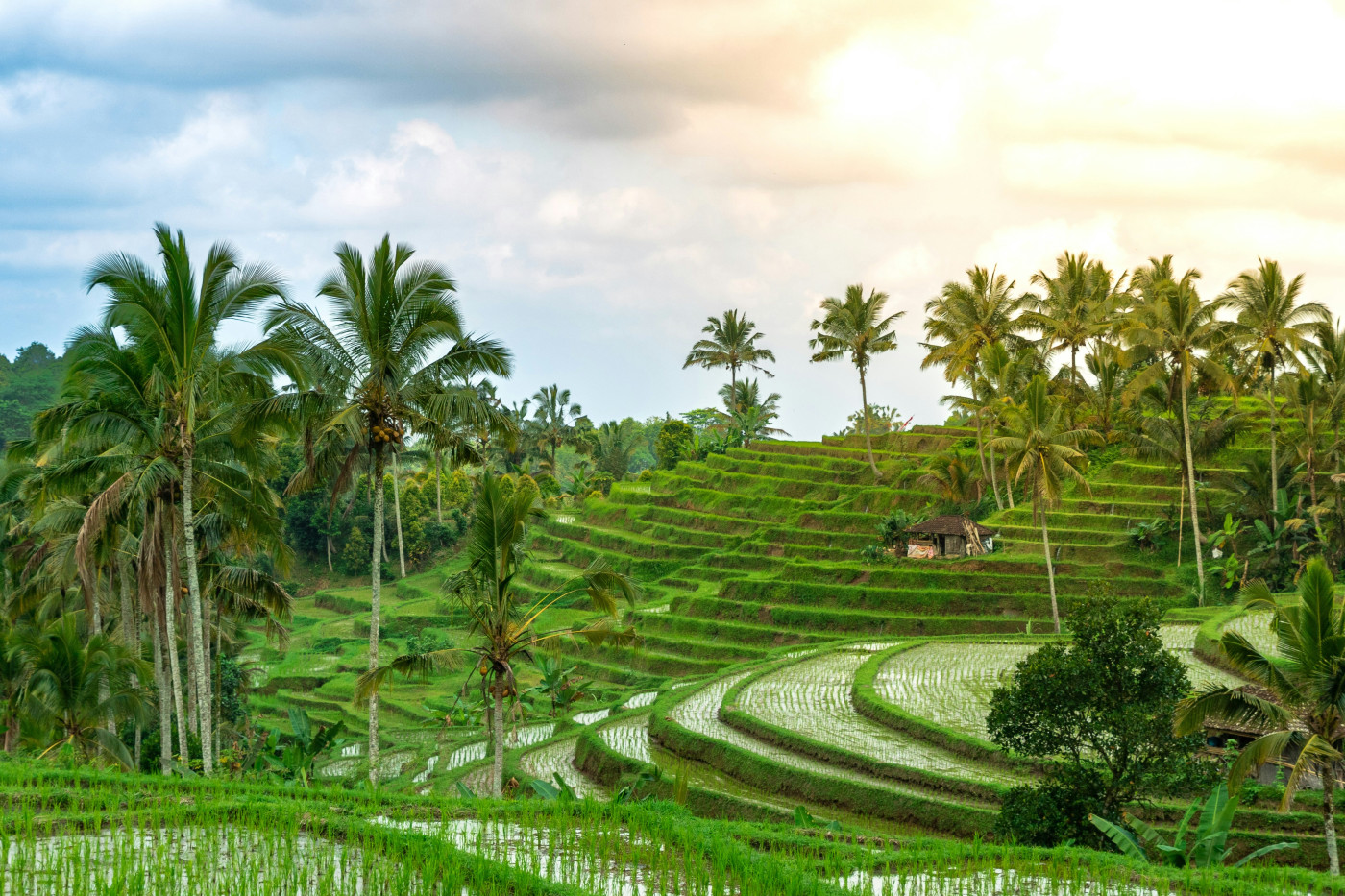 4. Nature et culture : le véritable fil conducteur d