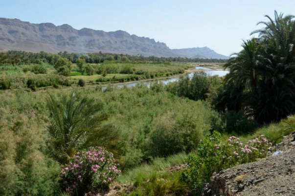 La vallée du Draa