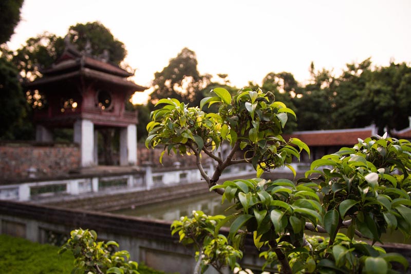 visiter le temple de la litterature a Hanoi