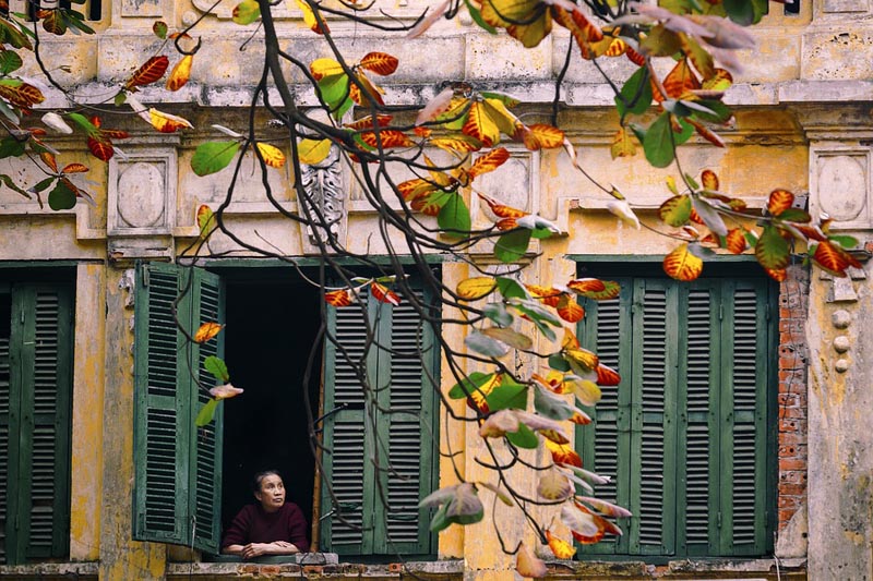 visiter le vieux quartier hanoi