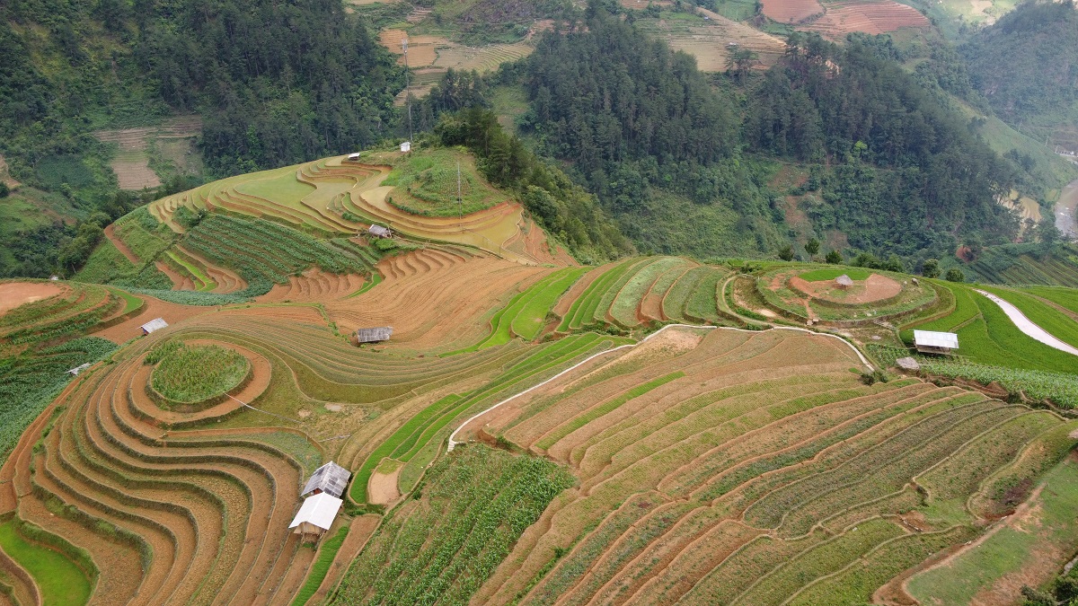 dji_0300.jpg