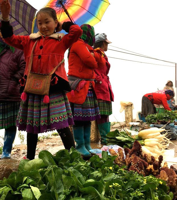 groupes ethniques vivant dans le nord du Vietnam