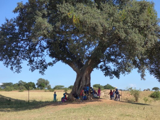 Le Ngama Lodge et la Rise Fondation