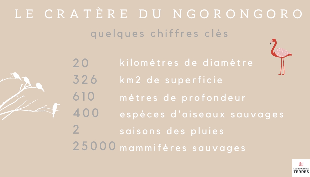 info parc ngorongoro.png