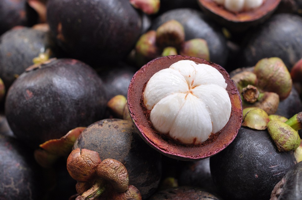 mangosteen-811154_960_720.jpg