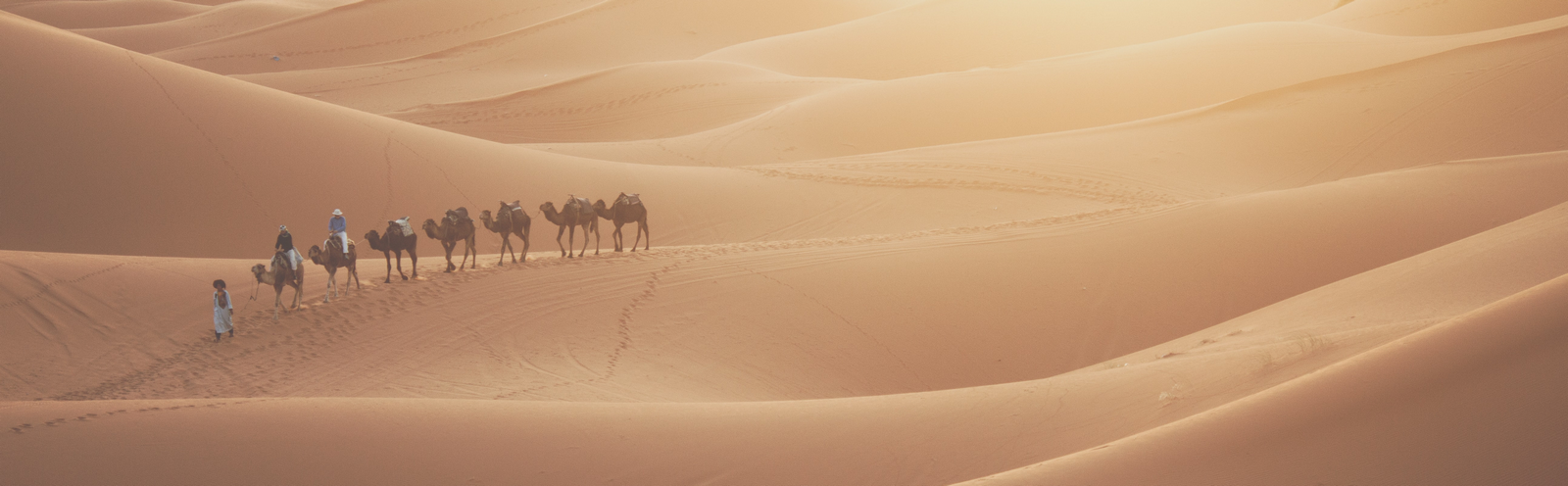 Séjours chez nos amis marocains