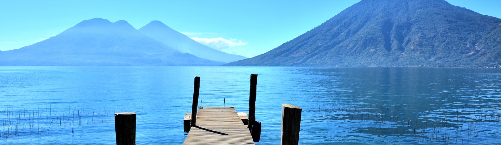 Les incontournables