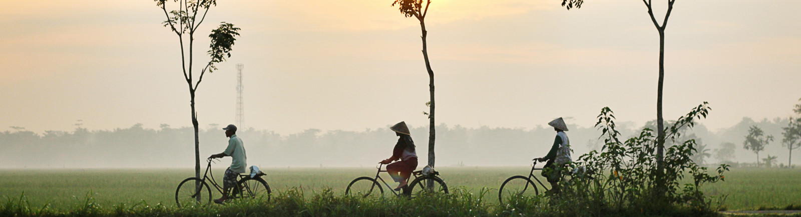 Immersion au Vietnam, à la rencontre des habitants