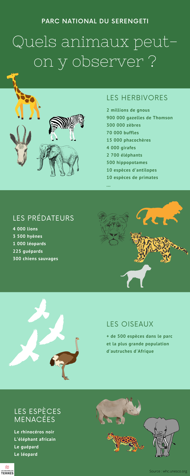 parc national du serengeti.png