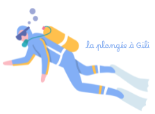plongee gili.png