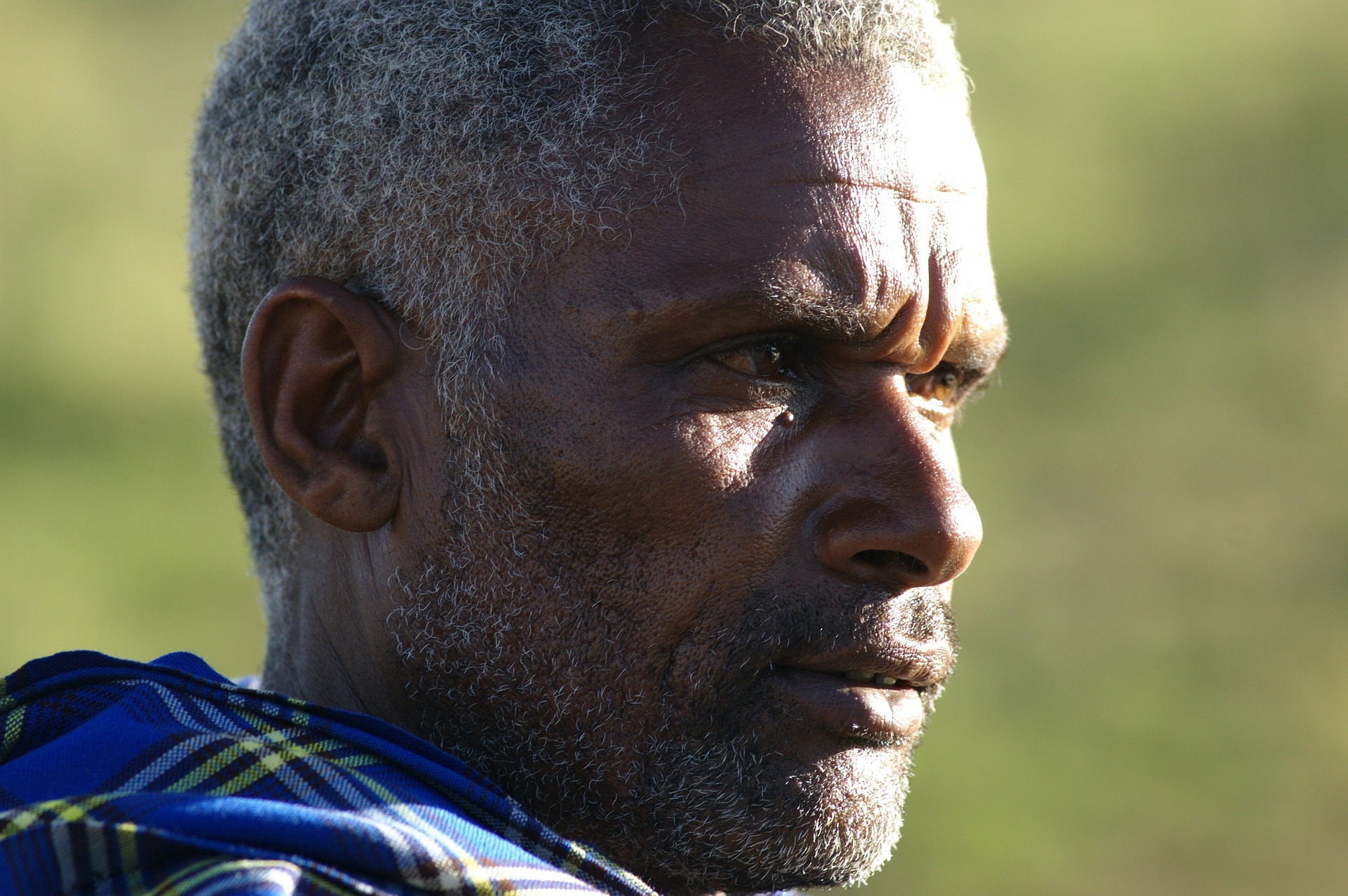 portrait-of-a-black-man-227316_1920.jpg