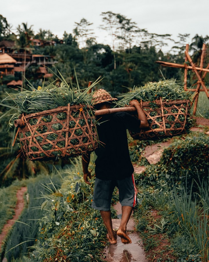 radoslav-bali-umfRZ2Hb1OM-unsplash.jpg