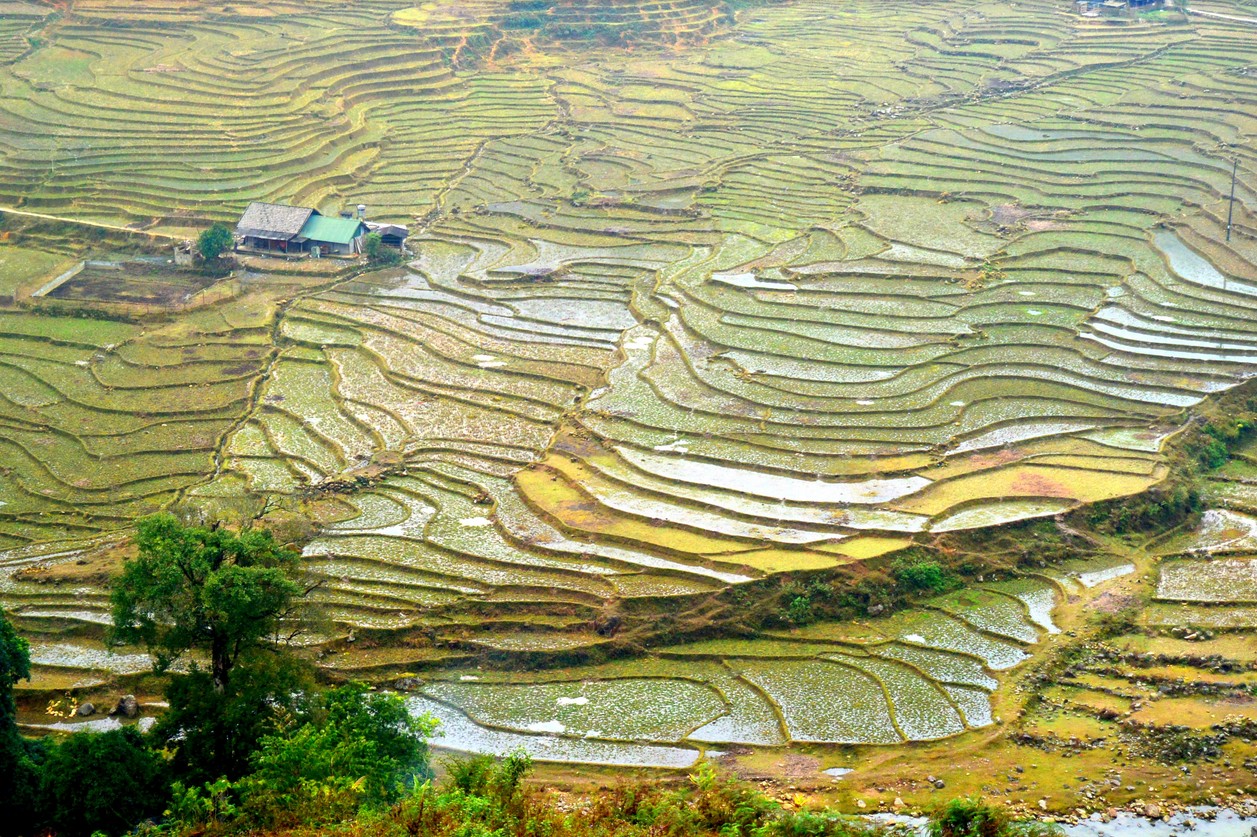 le nord du Vietnam