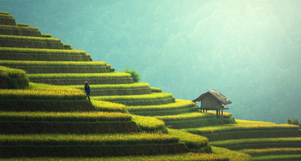 la baie d’Halong terrestre
