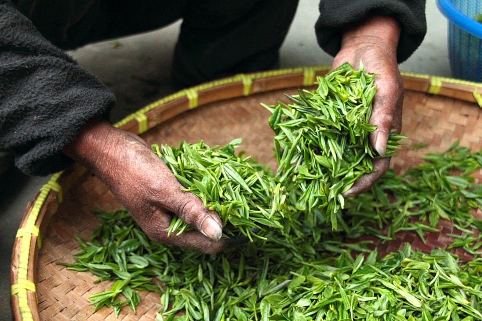 tea-623796_960_720.jpg