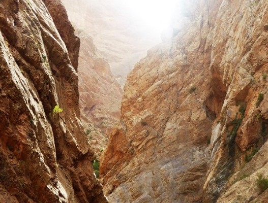 Avis de Agnès H - Voyage en Maroc