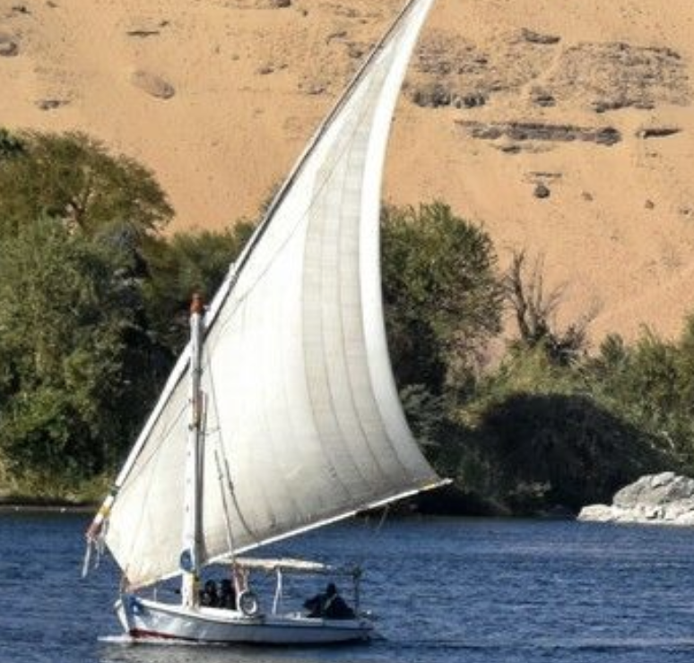Avis de Mich&egrave;le B - Voyage en Egypte