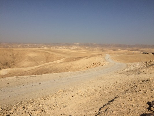 Avis de Mlle Chaoui - Voyage en Palestine