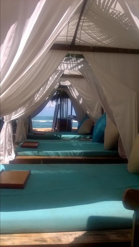 Avis de Thomas - Voyage en Sri Lanka