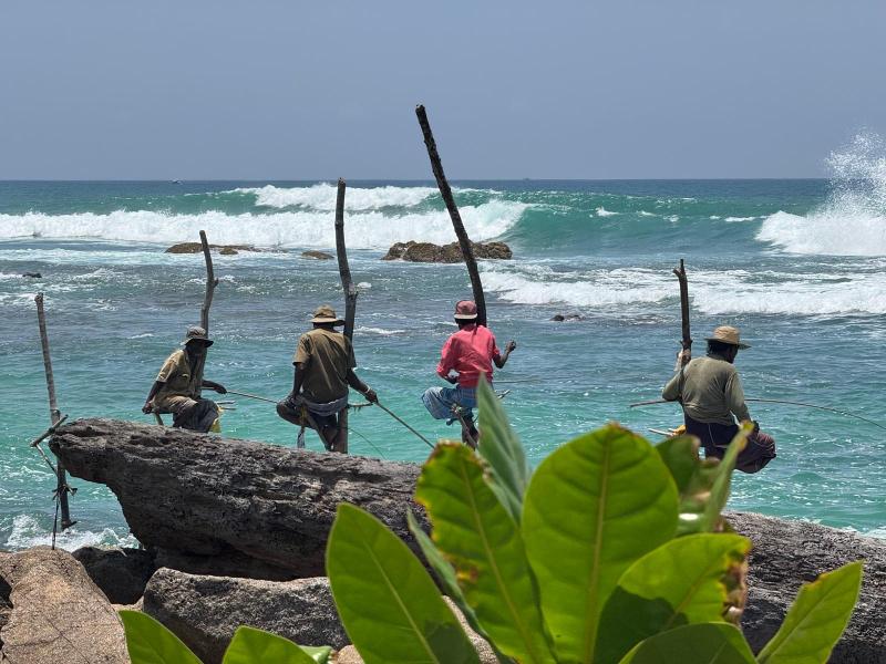 Avis de Annie et Denis  - Voyage en Sri Lanka