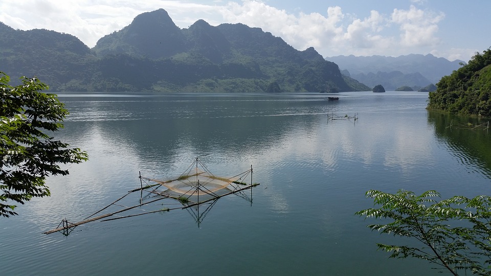 Une balade en bateau dans la réserve aux oiseaux de Thung Nham (Thung Chim)