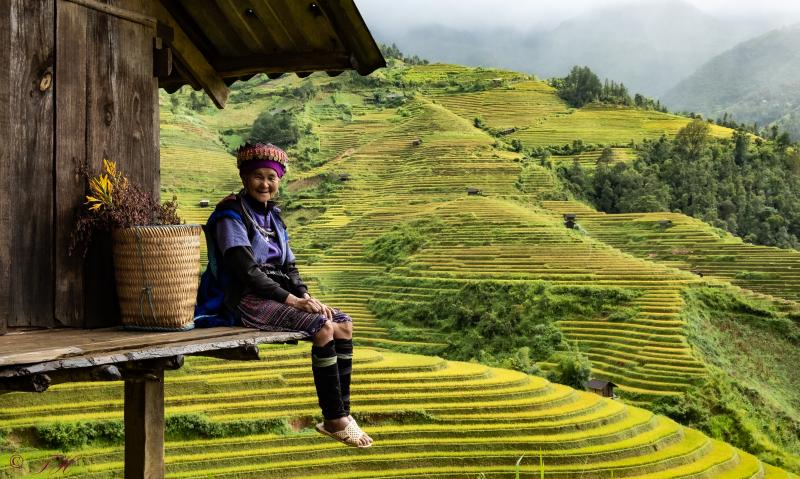 Voyage au Vietnam : les incontournables du nord au sud