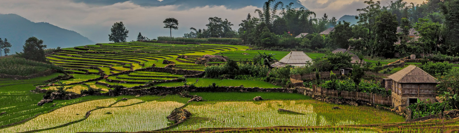 Voyage dans le Nord du Vietnam, à la rencontre des habitants