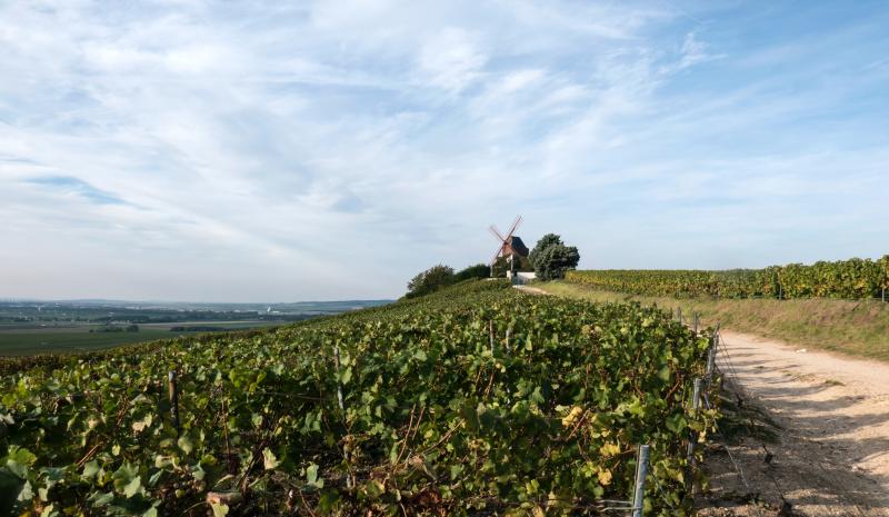 Circuit découverte des plus beaux villages de l'Hérault en maison d'hôtes