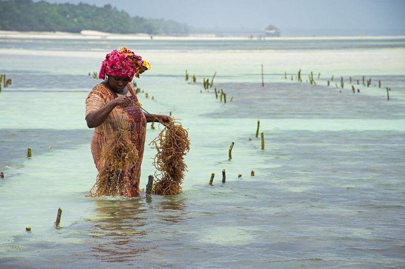 Voyage en Tanzanie, nuits chez l'habitant et séjour à Zanzibar